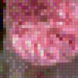 Preview of cross stitch pattern: #553113