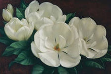 Cross stitch pattern: #553119