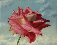 Cross stitch pattern: #553131
