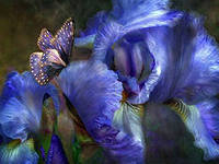 Cross stitch pattern: #553151