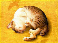 Cross stitch pattern: #553154