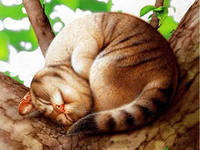 Cross stitch pattern: #553166