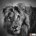 Cross stitch pattern: #553169