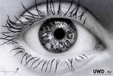 Cross stitch pattern: #553175
