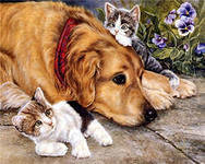 Cross stitch pattern: #553188
