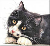Cross stitch pattern: #553196