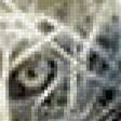Preview of cross stitch pattern: #553205