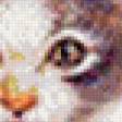 Preview of cross stitch pattern: #553206
