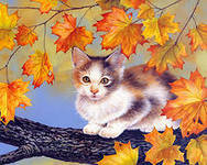 Cross stitch pattern: #553206