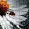 Preview of cross stitch pattern: #553246