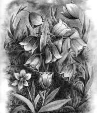 Cross stitch pattern: #553261