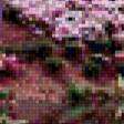 Preview of cross stitch pattern: #553407