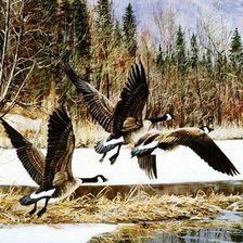 Cross stitch pattern: #553419
