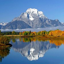 Cross stitch pattern: #553422