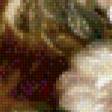 Preview of cross stitch pattern: #553424