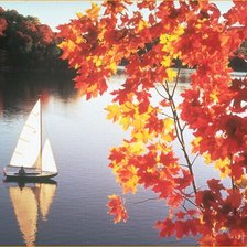 Cross stitch pattern: #553429
