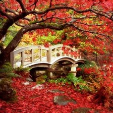 Cross stitch pattern: #553432