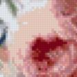Preview of cross stitch pattern: #553441