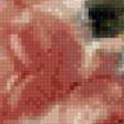 Preview of cross stitch pattern: #553462