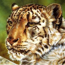 Cross stitch pattern: #553515