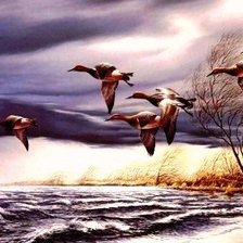 Cross stitch pattern: #553519