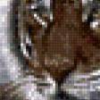 Preview of cross stitch pattern: #553521