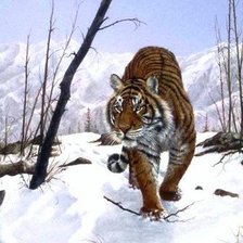 Cross stitch pattern: #553521