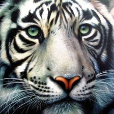 Cross stitch pattern: #553537