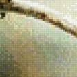 Preview of cross stitch pattern: #553541
