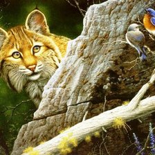 Cross stitch pattern: #553556