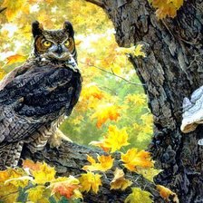 Cross stitch pattern: #553559