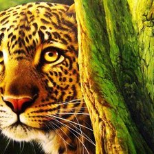 Cross stitch pattern: #553614