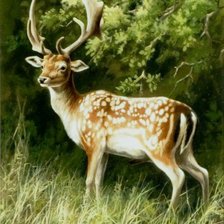 Cross stitch pattern: #553621