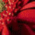 Preview of cross stitch pattern: #553639