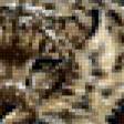 Preview of cross stitch pattern: #553649