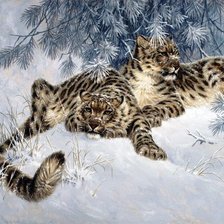 Cross stitch pattern: #553649