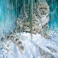 Cross stitch pattern: #553653
