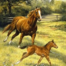 Cross stitch pattern: #553658