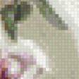 Preview of cross stitch pattern: #553827