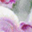 Preview of cross stitch pattern: #553831
