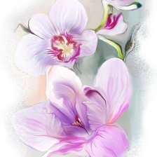 Cross stitch pattern: #553831