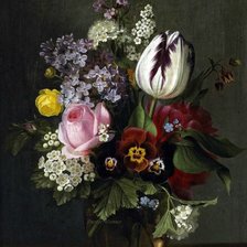 Cross stitch pattern: #553835