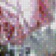 Preview of cross stitch pattern: #553850