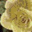Preview of cross stitch pattern: #553863