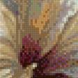 Preview of cross stitch pattern: #553866