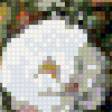 Preview of cross stitch pattern: #553878