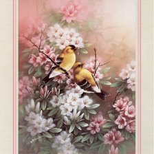 Cross stitch pattern: #553900