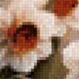 Preview of cross stitch pattern: #553902
