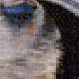 Preview of cross stitch pattern: #553906