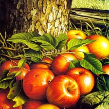 Source of cross stitch pattern: #553923